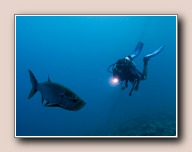 , Bonaire, Mei 2009