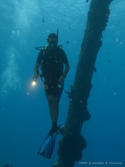 Nigel, Jeannnies Glory, Bonaire