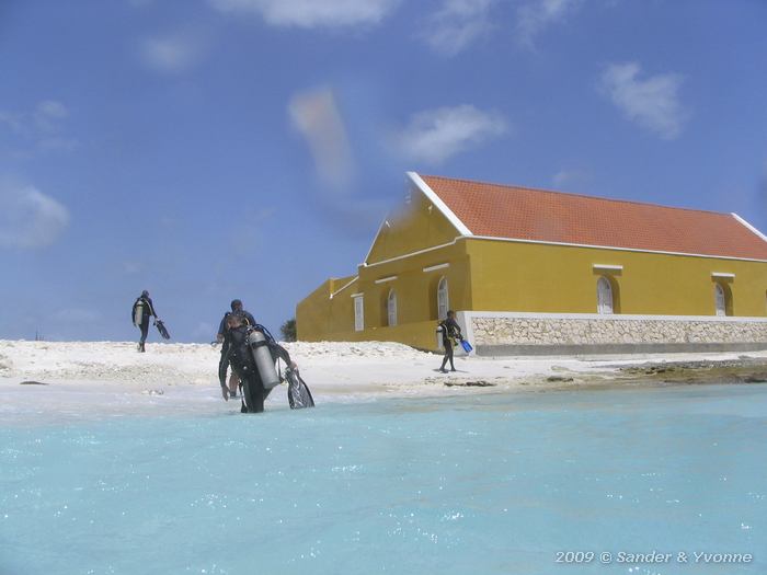 Leaving the water, Boka Slagbaai, Bonaire