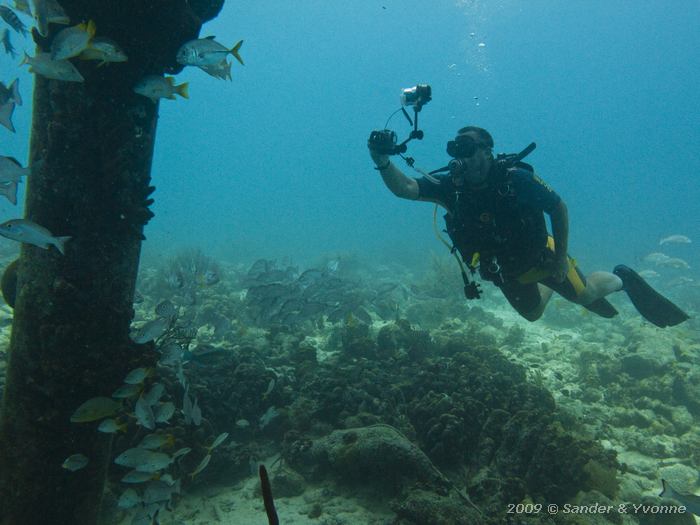 Tako Jan, Jeannies Glory, Bonaire