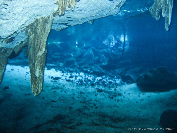 Cavernous structures in Dos Ojos