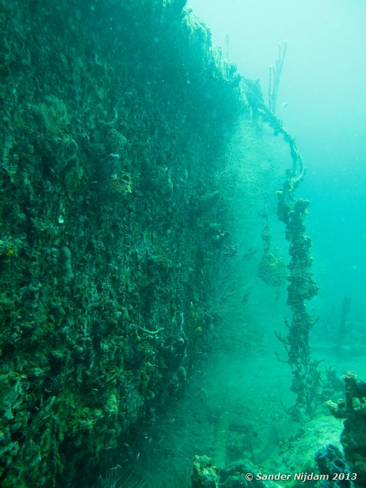  The Wreck, Bocas del Toro, Panama
