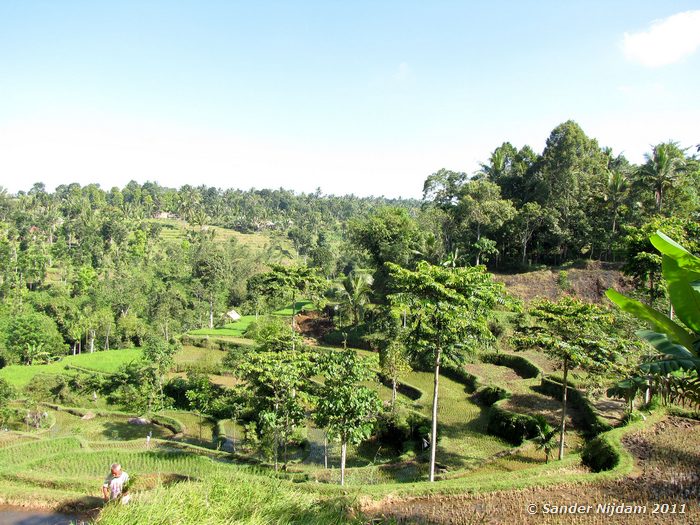  Tetebatu, Lombok