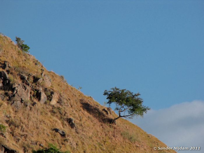  Komodo National Park