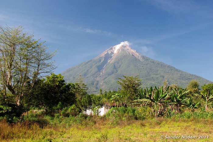  Onderweg, Flores