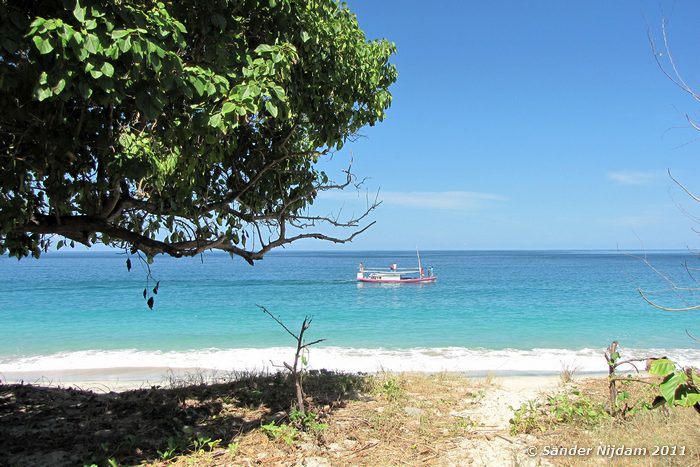  Pagah beach, Flores