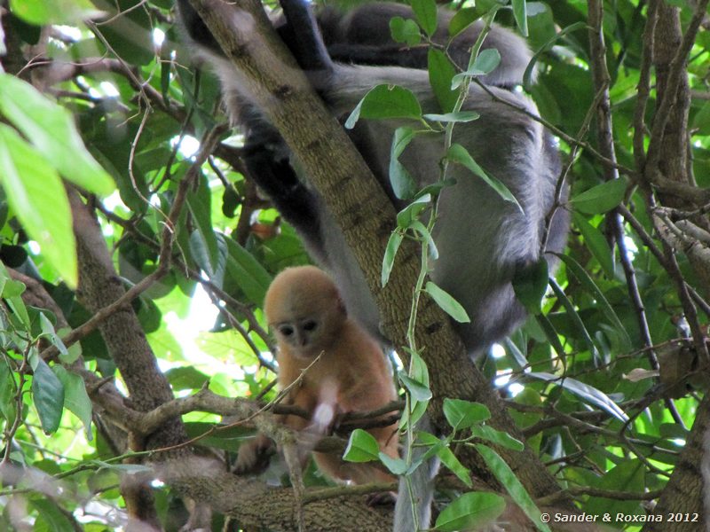  Sam Roi Yot Nationaal Park